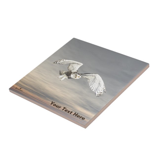 Snowy Owl Ceramic Tile (Side)