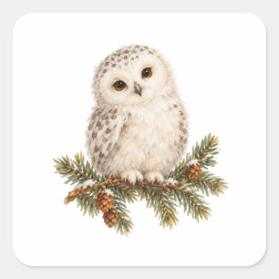Snowy Owl Chick in a Fir Tree Square Sticker