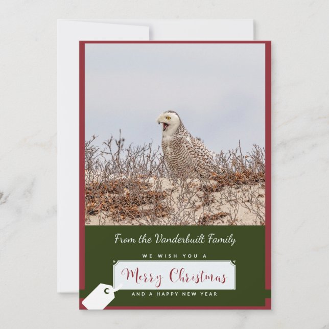 Snowy Owl Christmas Card (Front)
