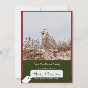Snowy Owl Christmas Card