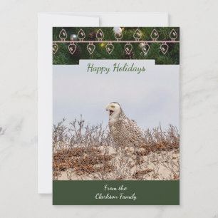 Snowy Owl  Christmas Card