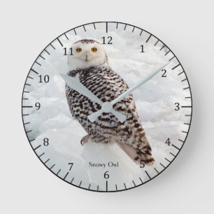 Snowy Owl clock