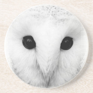Snowy Owl Coaster