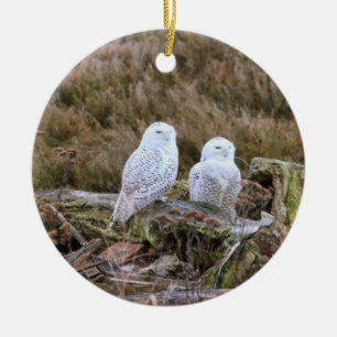 Snowy Owl Couple Ceramic Ornament