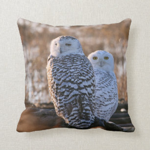 Snowy Owl Couple Cushion
