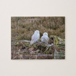 Snowy Owl Couple Jigsaw Puzzle