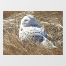 Snowy Owl Floor Decal