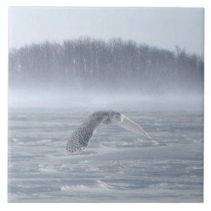 Snowy Owl Flying In Winter Ceramic Tile