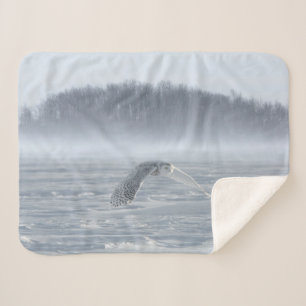 Snowy Owl Flying In Winter Sherpa Blanket
