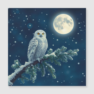 Snowy Owl fun Christmas card