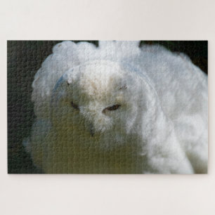 Snowy Owl Goes Floof Super Challenging Bird Lover Jigsaw Puzzle