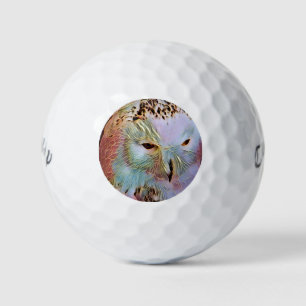 SNOWY OWL    GOLF BALLS
