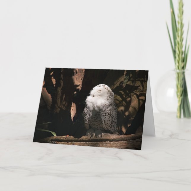Snowy Owl • Greeting Card (Front)