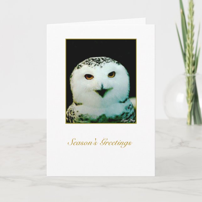 Snowy Owl Holiday Card - '... Nature's Beauty ...' (Front)