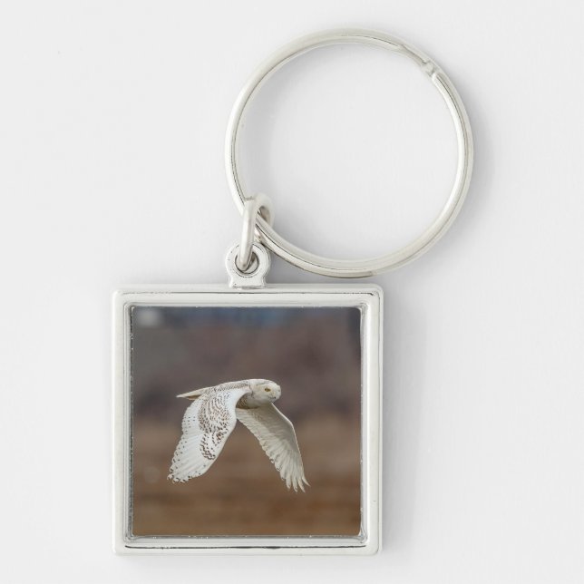 Snowy owl in flight key ring (Front)