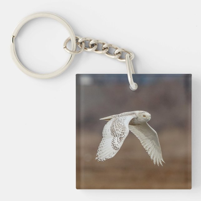 Snowy owl in flight key ring (Front)