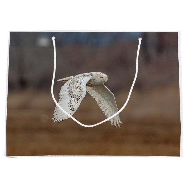 Snowy owl in flight large gift bag (Front)