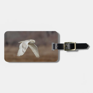 Snowy owl in flight luggage tag