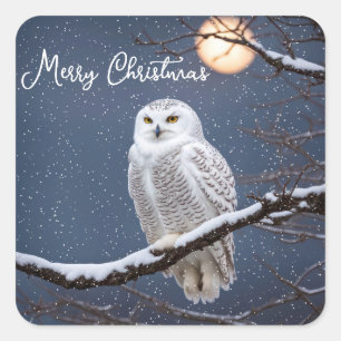 Snowy Owl In Snowflakes Square Sticker