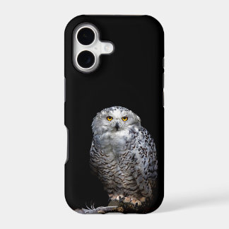 Snowy Owl is on the phone for you!