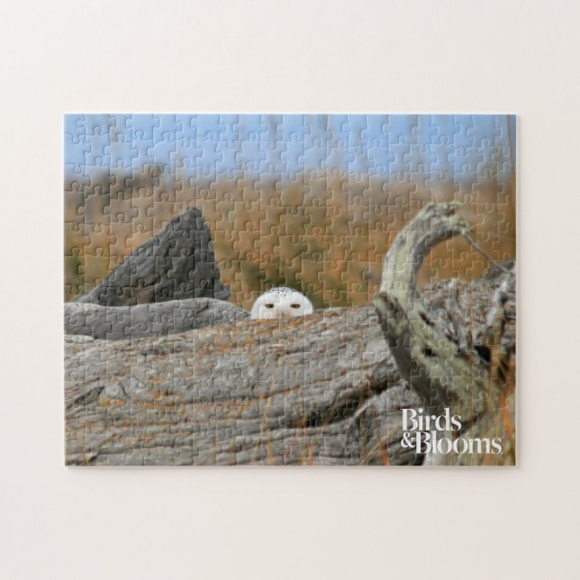 Snowy Owl Jigsaw Puzzle (Horizontal)