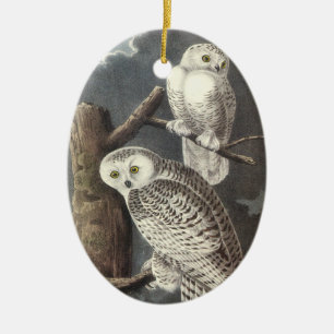 Snowy Owl, John Audubon Ceramic Ornament
