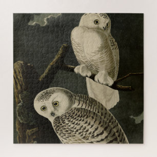 Snowy Owl, John James Audubon's Birds of America Jigsaw Puzzle