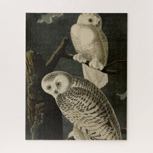 Snowy Owl, John James Audubon's Birds of America Jigsaw Puzzle