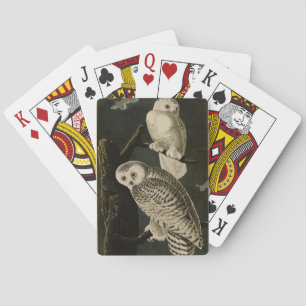 Snowy Owl, John James Audubon's Birds of America Playing Cards