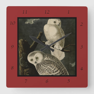 Snowy Owl, John James Audubon's Birds of America Square Wall Clock