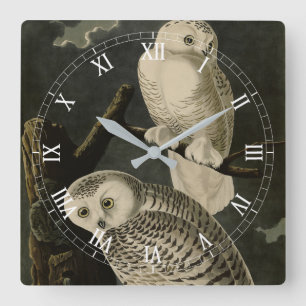 Snowy Owl, John James Audubon's Birds of America Square Wall Clock