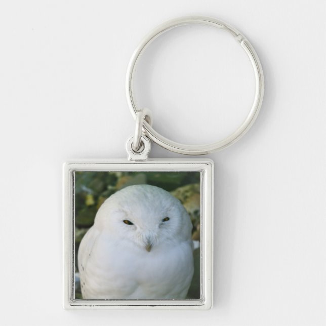 Snowy Owl Key Ring (Front)