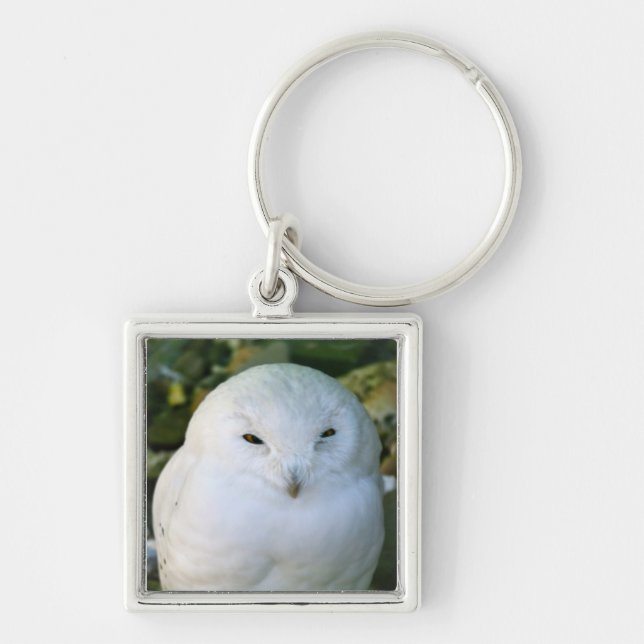 Snowy Owl Key Ring (Front)