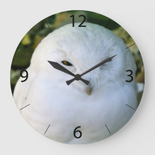 Snowy Owl Large Clock