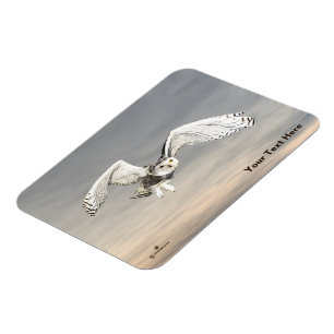 Snowy Owl Magnet