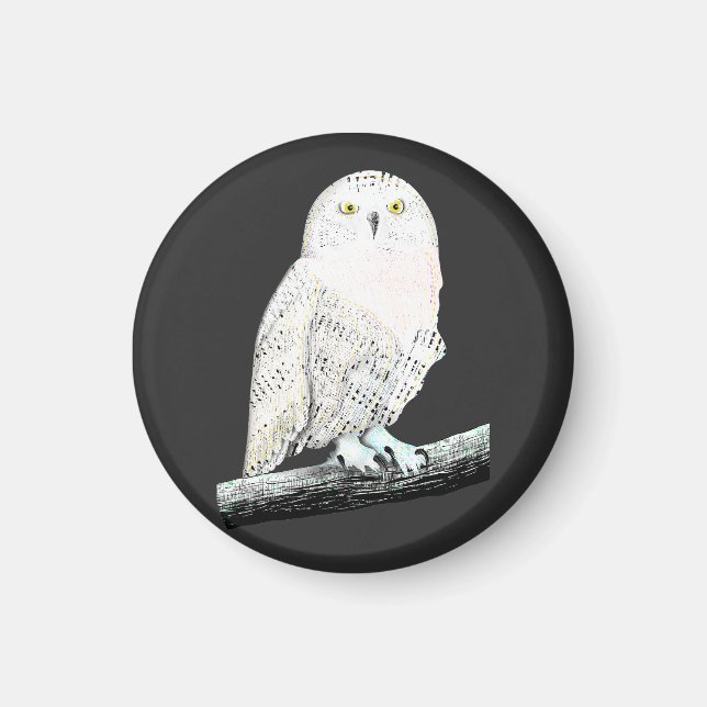 Snowy Owl Magnet (Front)