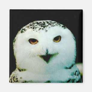 Snowy Owl Magnet