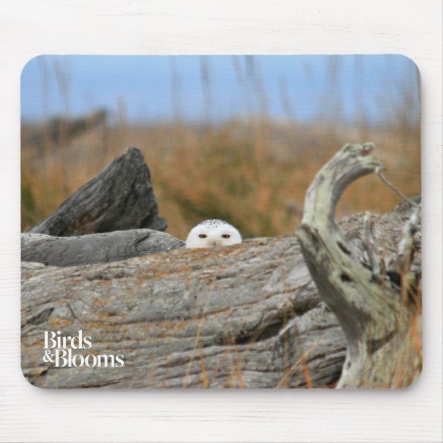 Snowy Owl Mouse Pad (Front)