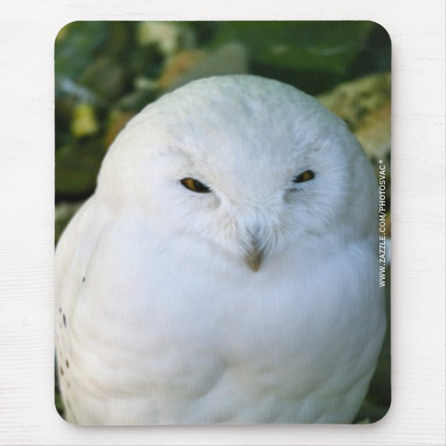 Snowy Owl Mouse Pad (Front)