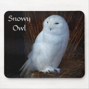 Snowy Owl - mousepad