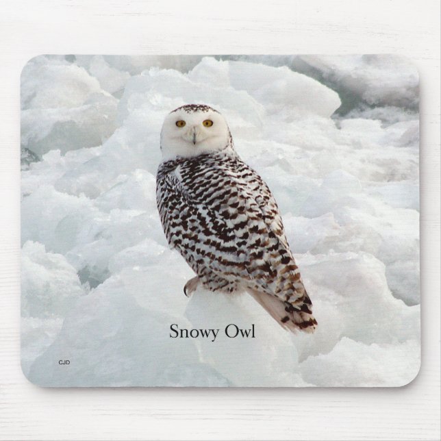 Snowy Owl Mousepad (Front)