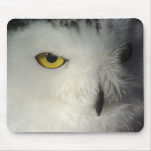 Snowy Owl Mousepad