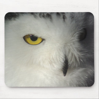 Snowy Owl Mousepad