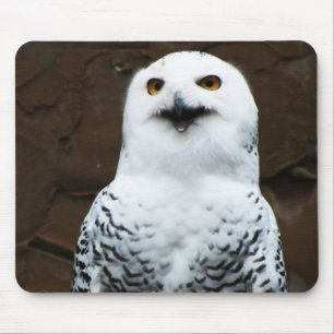 Snowy Owl mpcn Mouse Pad