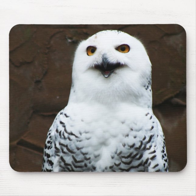 Snowy Owl mpcnm Mouse Pad (Front)