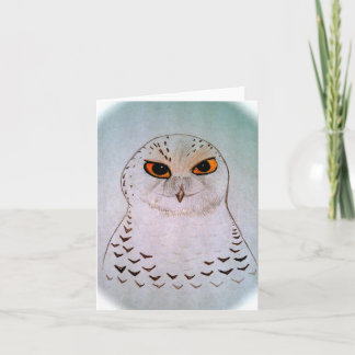 Snowy Owl Notecards