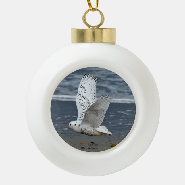 Snowy Owl on a Beach  Ceramic Ball Christmas Ornament (Front)