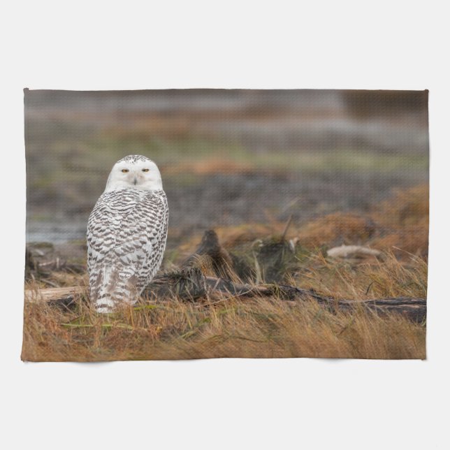 Snowy Owl on a log Tea Towel (Horizontal)