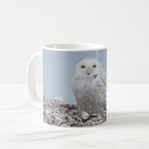 Snowy Owl on shells Coffee Mug