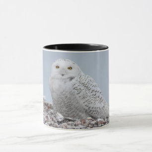 Snowy Owl on shells Coffee Mug